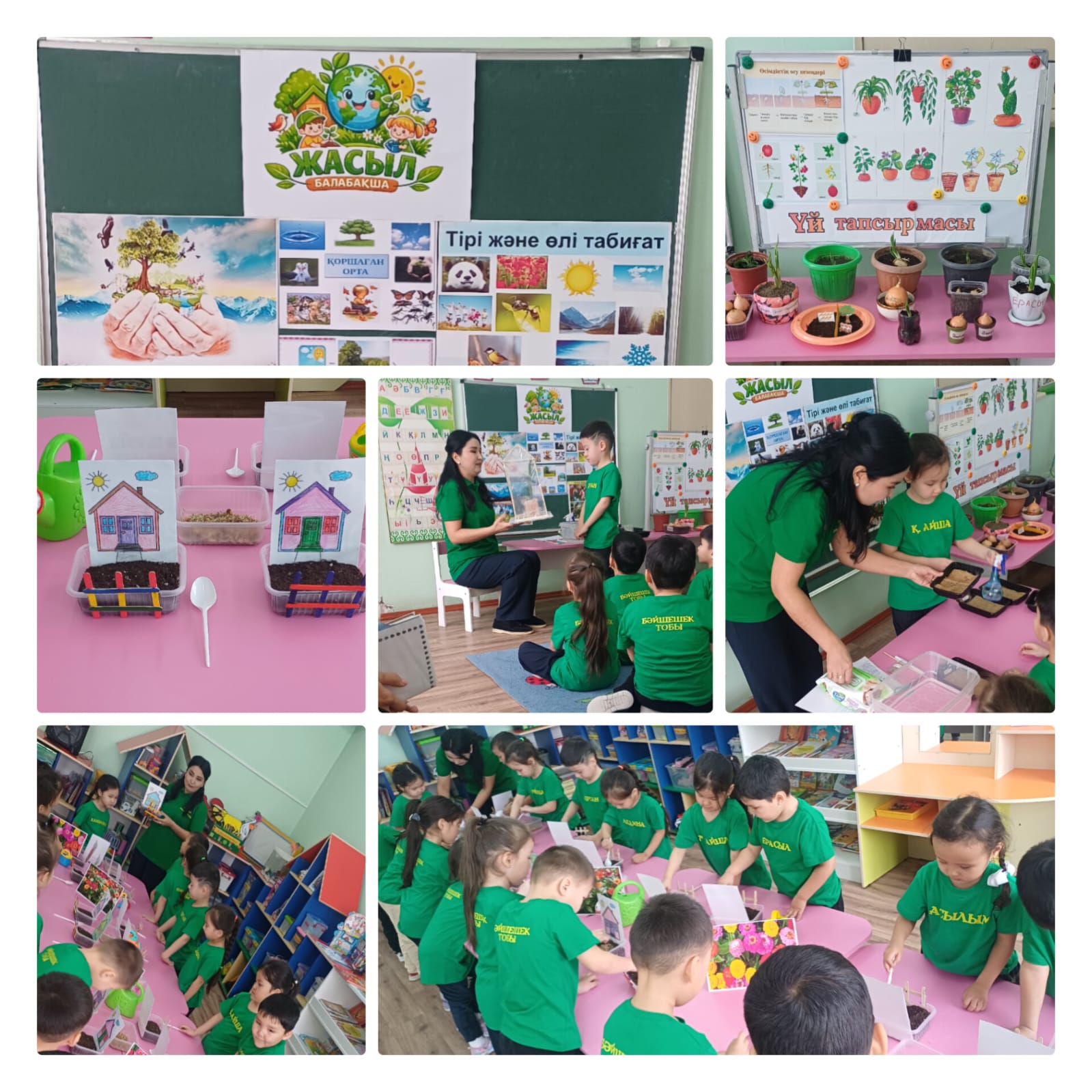 Мектепалды "Бәйшешек" тобы "Жасыл балабақша" жобасы аясында өткен ашық іс-әрекеті Мақсаты: Табиғатқа деген сүйіспеншілігін арттыру. Өсімдіктерге күтім жасау дағдыларын қалыптастыру. Балалардың танымдық белсенділігін дамыту.